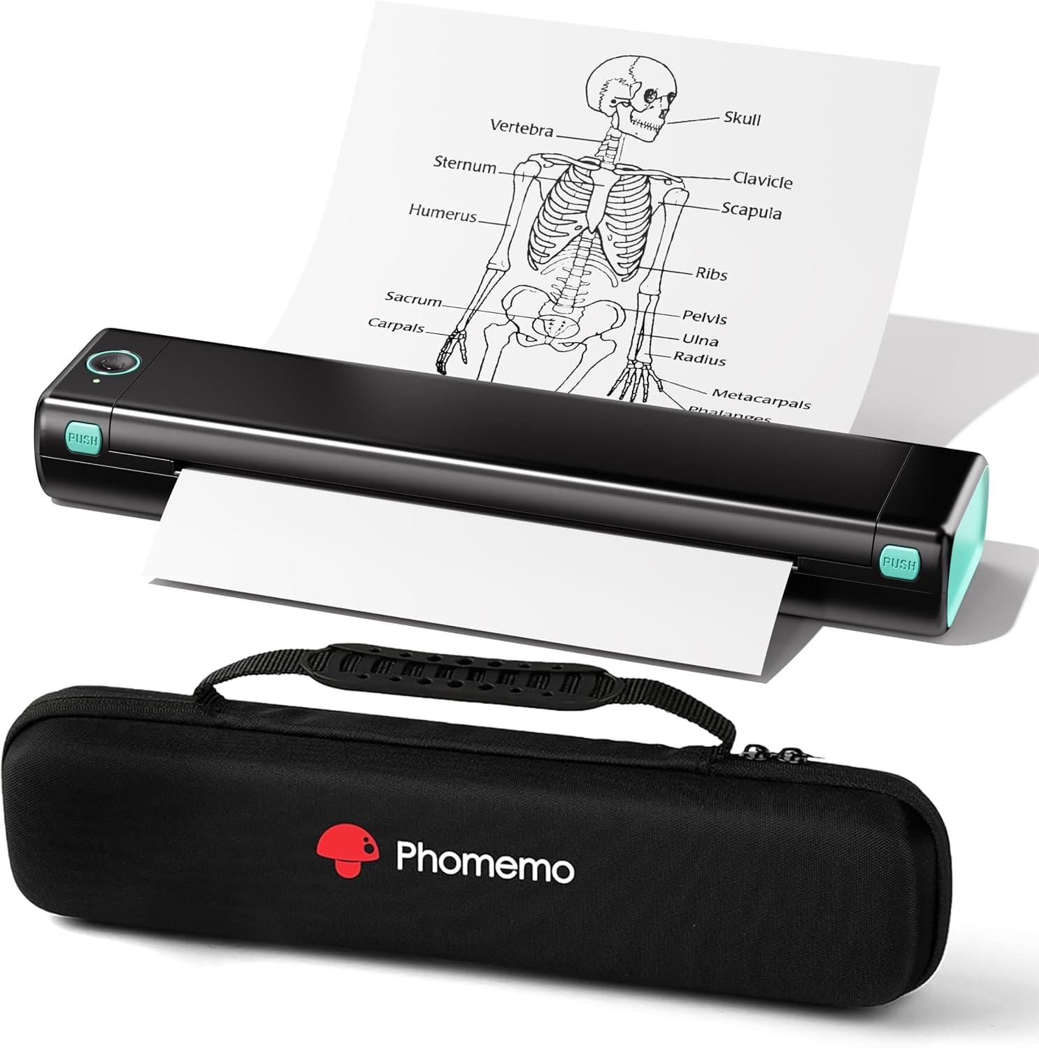 Inkless Portable Printer That Prints Full Size Pages: Phomemo M08F Review